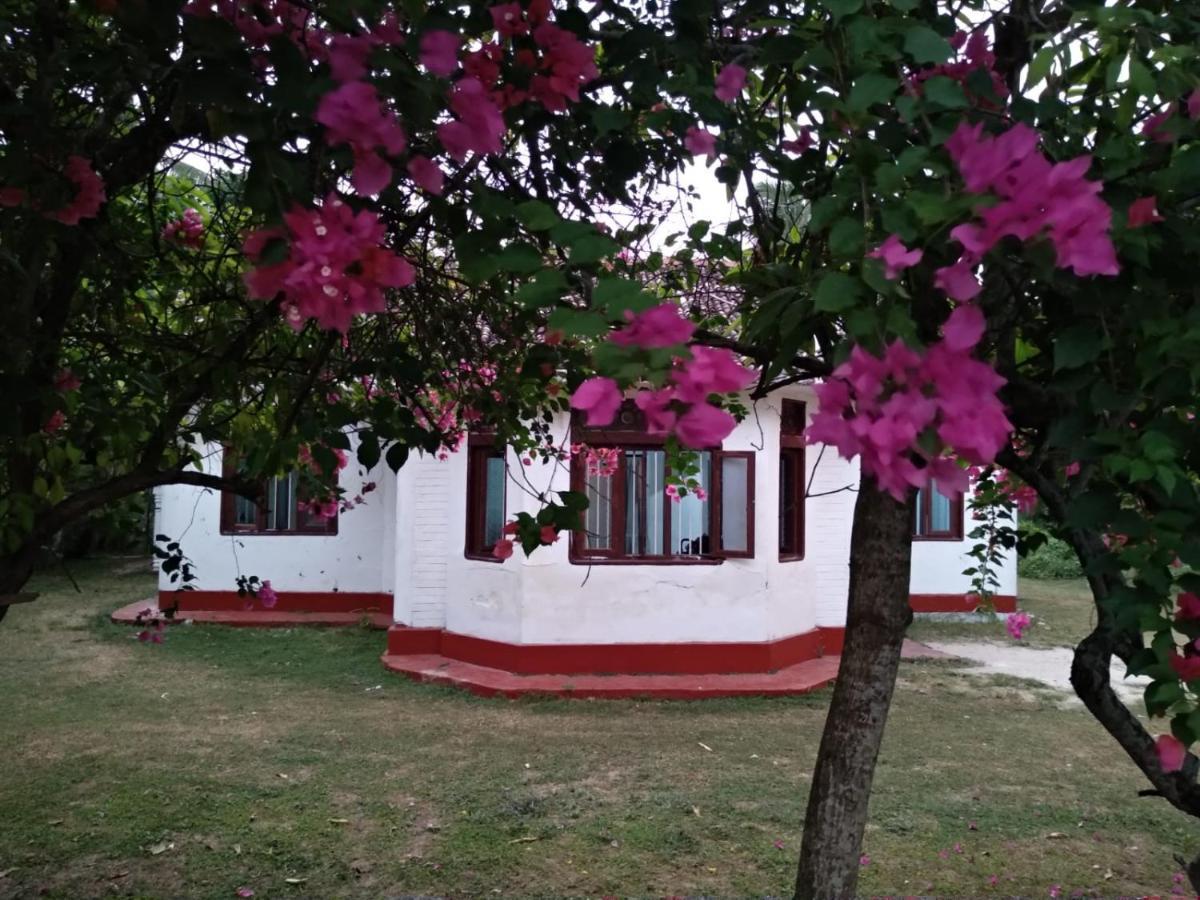Colonial Surfing Villa Hostel & Home Stay Midigama East Exterior photo